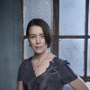 Olivia Williams who has already played Jane in Jane Austen Regrets.